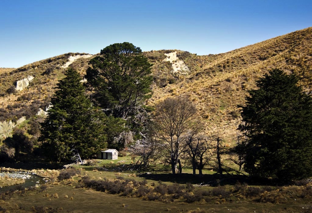 Oteake Conservation Park north of Kyeburn in the Maniototo