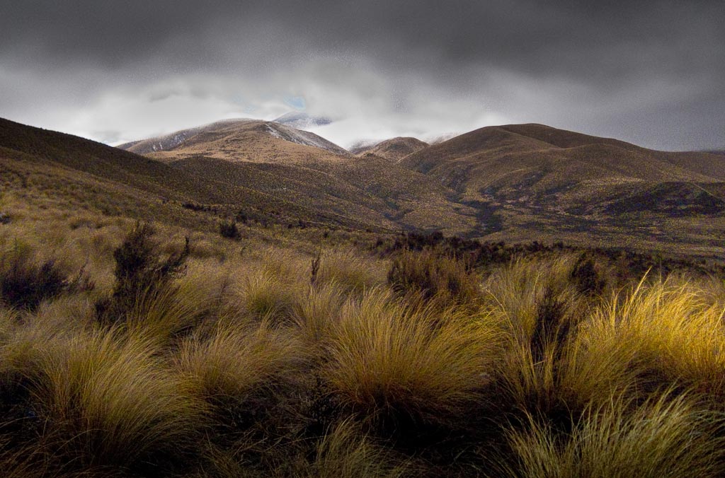 Oteake Conservation Park north of Kyeburn in the Maniototo