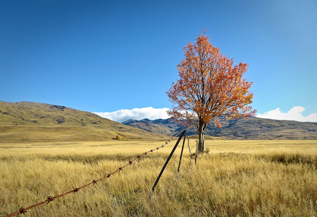 The Nevis Valley in Central Otago New Zealand