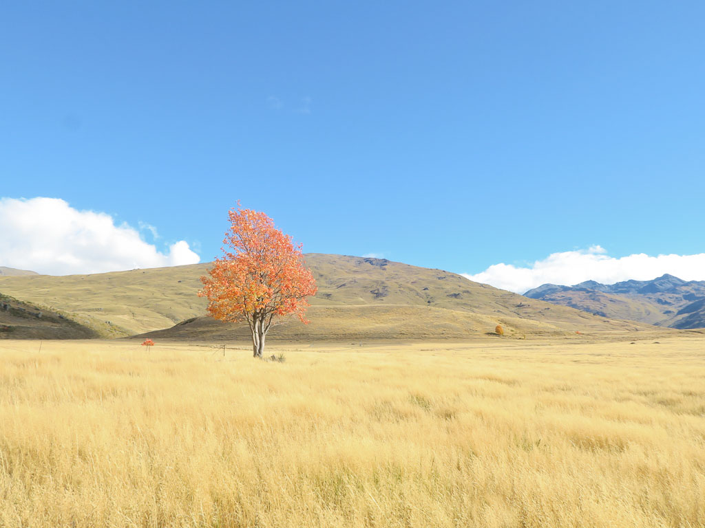 The Nevis Valley in Central Otago New Zealand