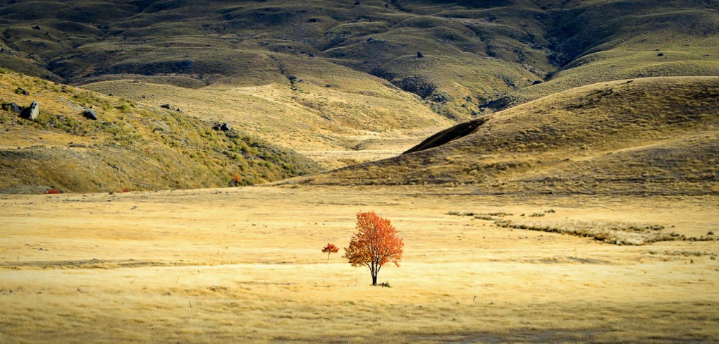 The Nevis Valley in Central Otago New Zealand