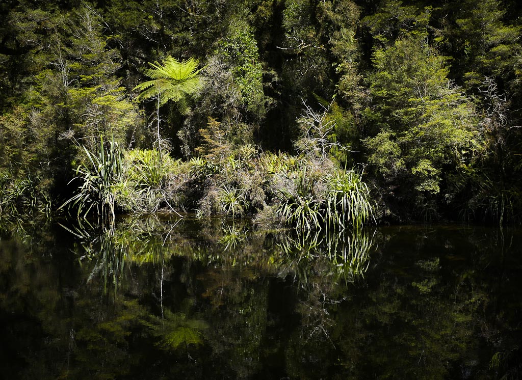 Ellery River South Westland