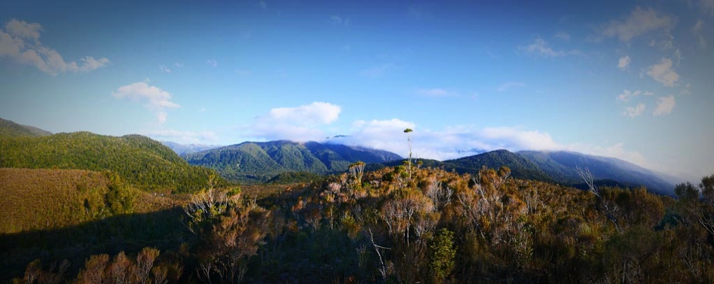Red Hills South Westland