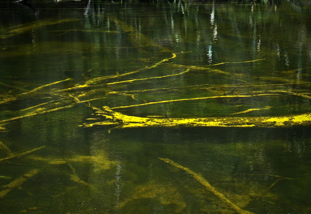 Ellery River South Westland