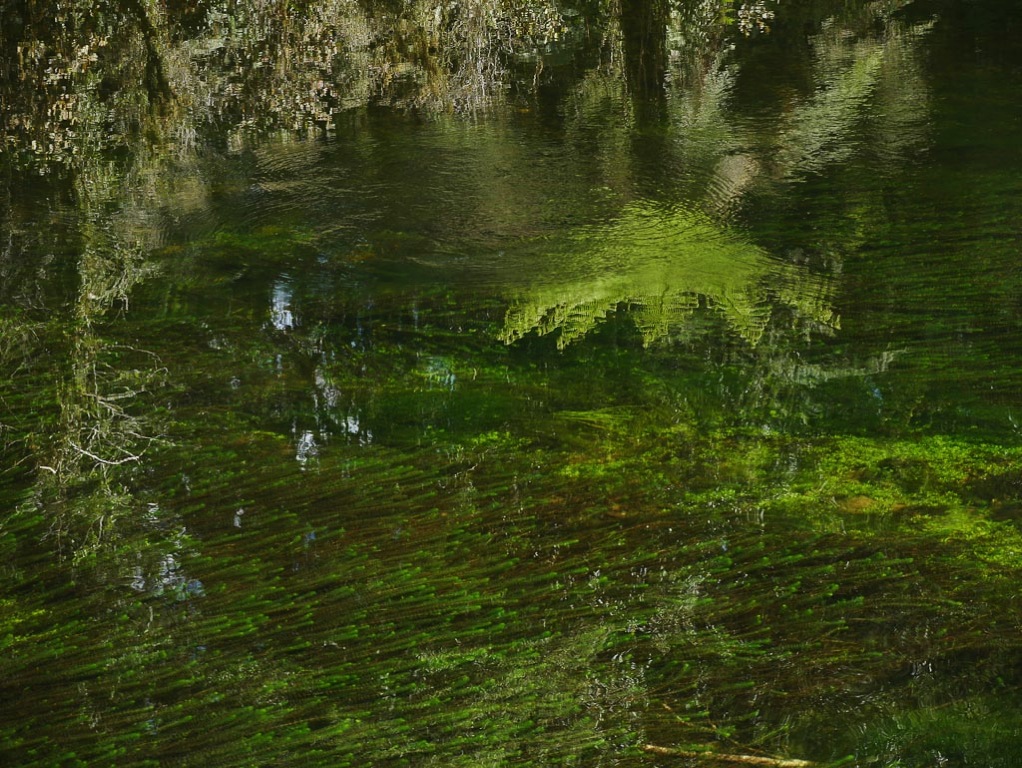 Ellery River South Westland