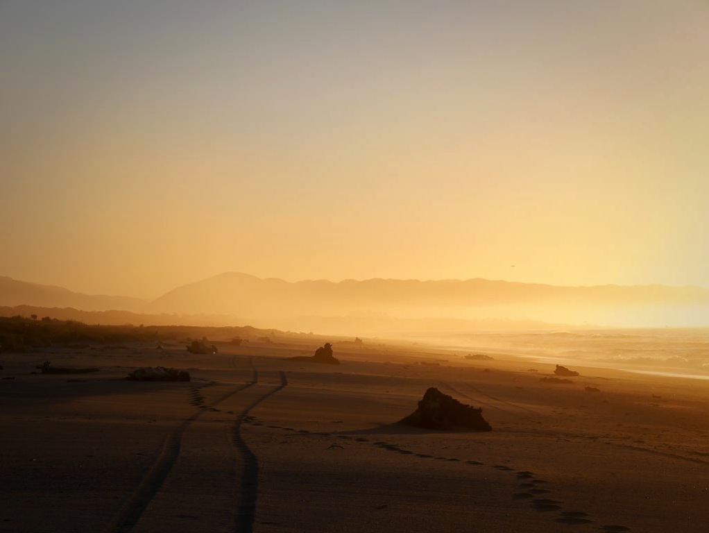 South Westland beach at sunset