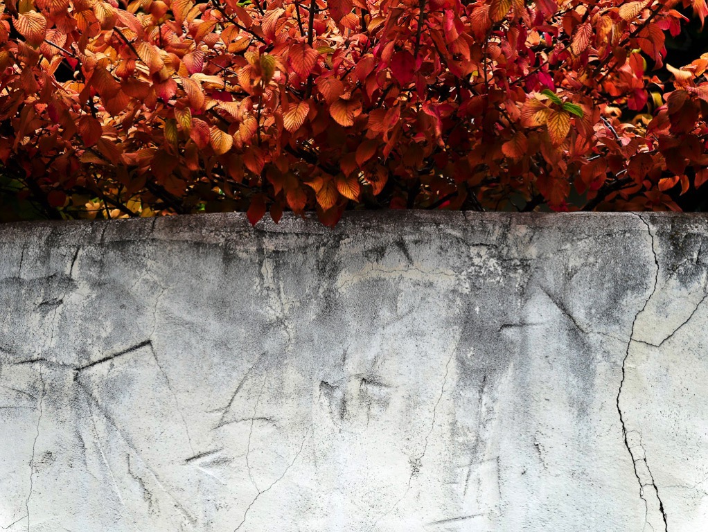 cromwell-autumn-wall.jpg Autumn colors and wall in Old historic Cromwell Town