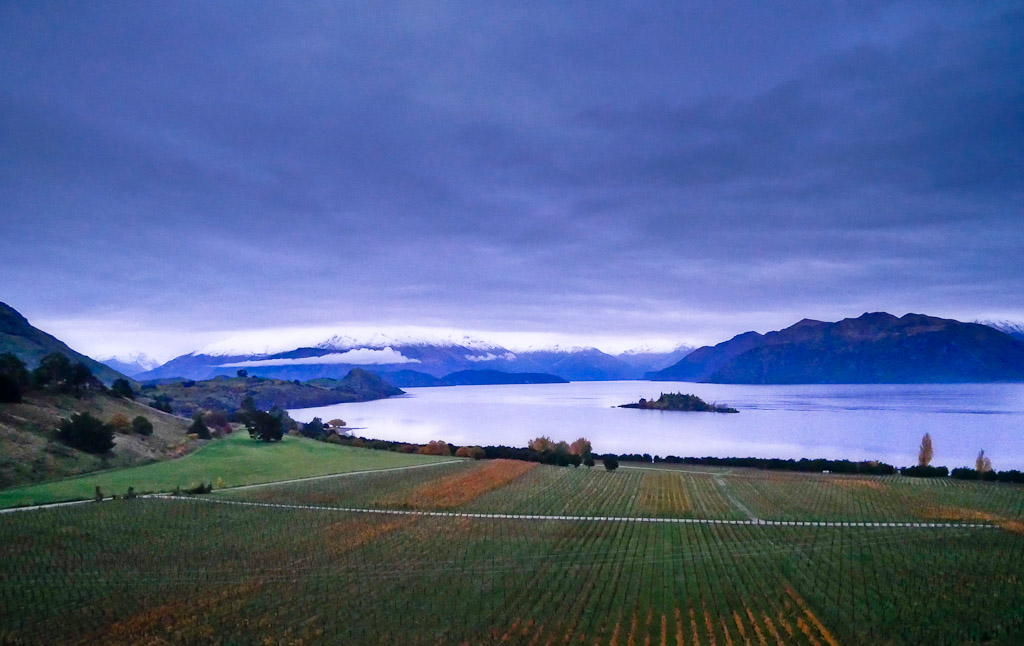 rippon-eion-2.jpg Rippon Vineyard - dusk