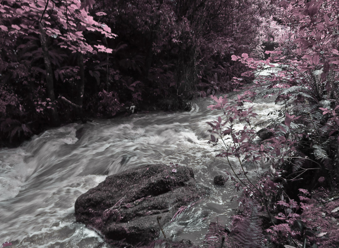 ross creek
