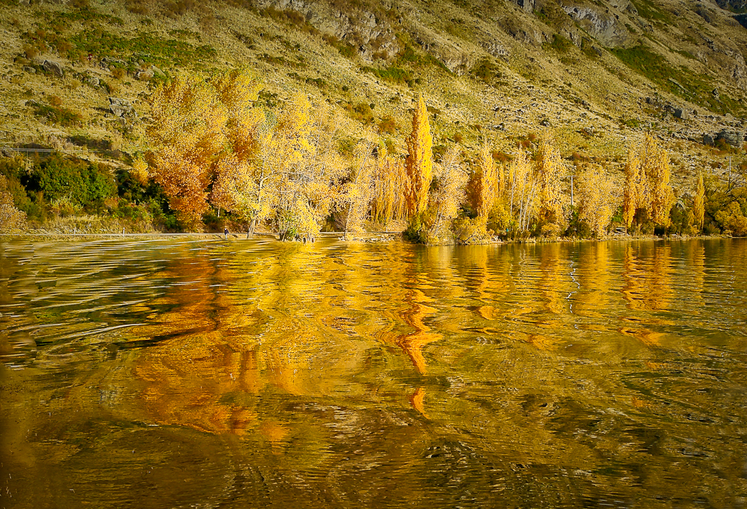 A year of photography – 2019
