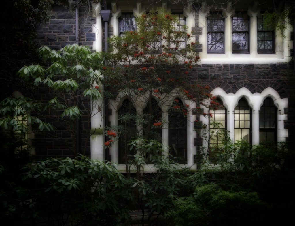 Otago University historic building. By the Geology Faculty.