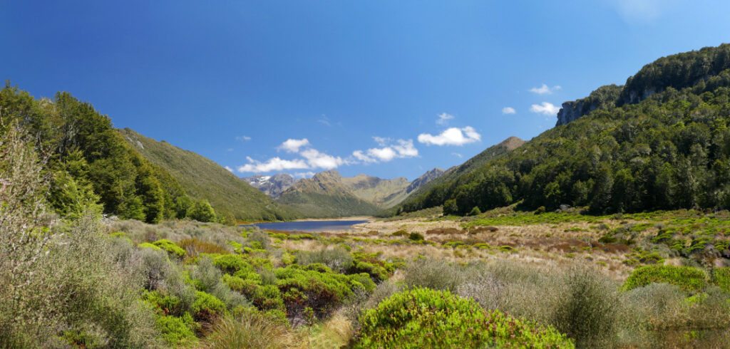 Lake Orbell, Fiordland National Park, New Zealand