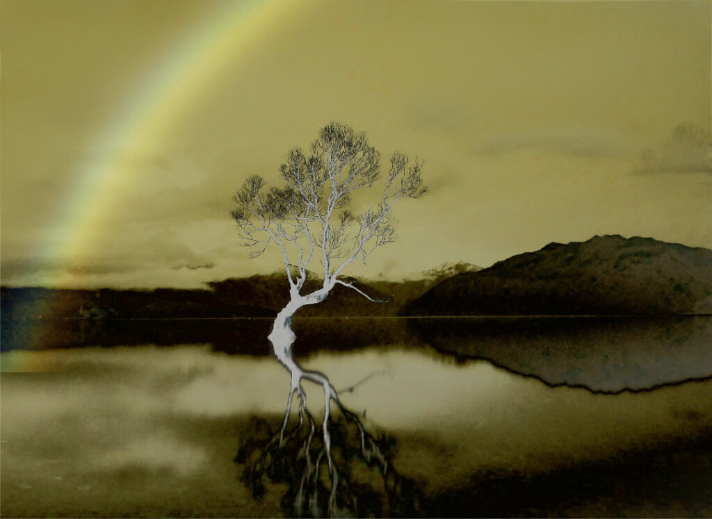 Digital art version of the famous Lake Wanaka tree, with water around it's roots. And a indistinct rainbow partially visible