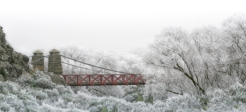 Hoar frost on willows at the Ophir historic bridge that crosses the Manuherikia River, Central Otago, NZ