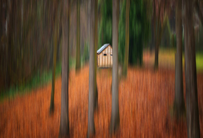 Wanaka Station Park toilet building